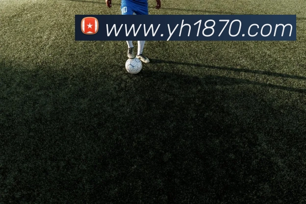 数据分析功能